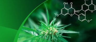 争光植物提取精制、去除农残专用树脂的应用小秘诀